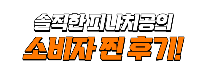 솔직한 피나치공의 찐 후기