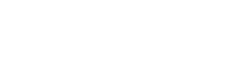 피나치공